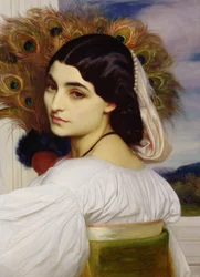 Pavonia